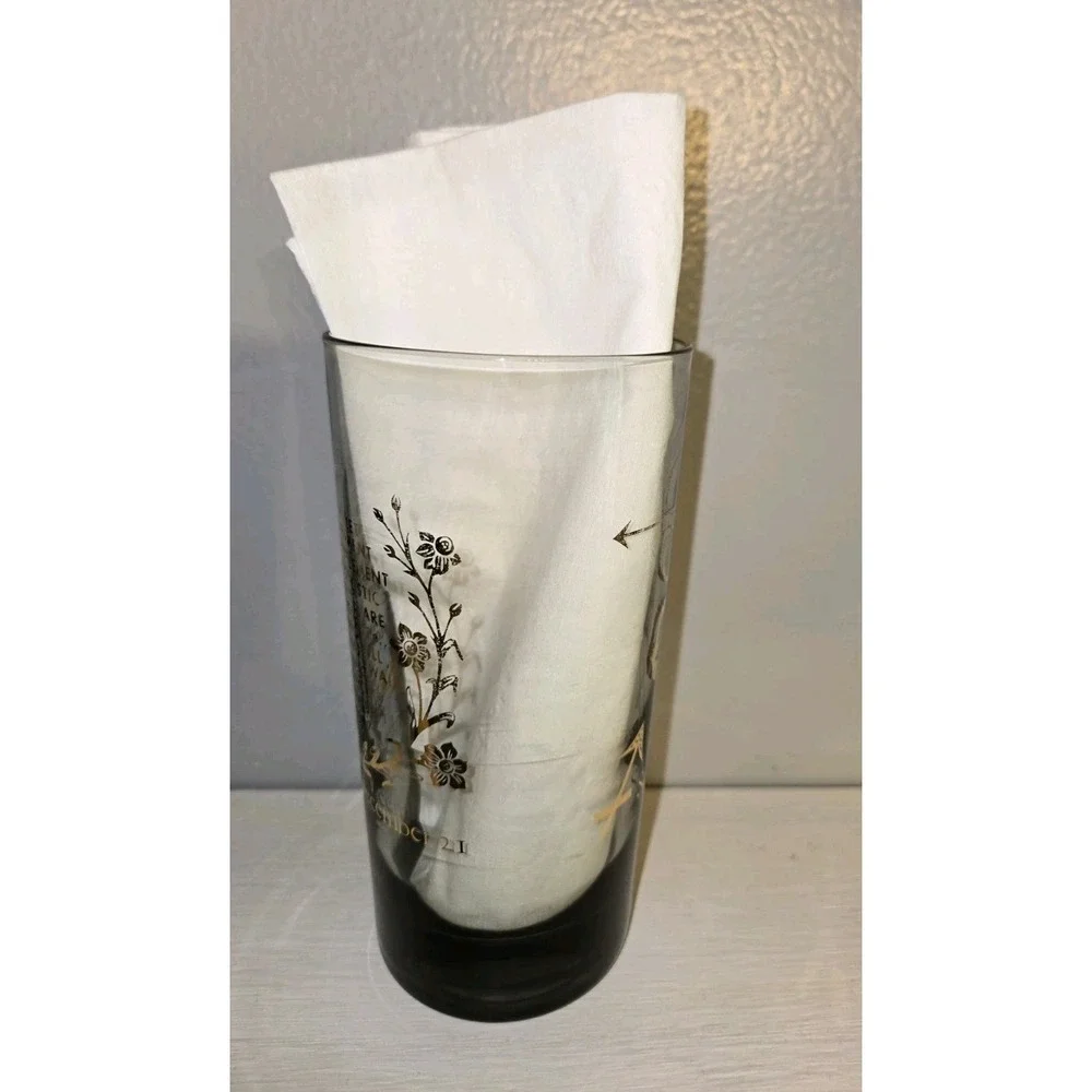 Vintage Sagittarius Zodiac Highball Glass‎ Smoked Gold The Archer Mid Century